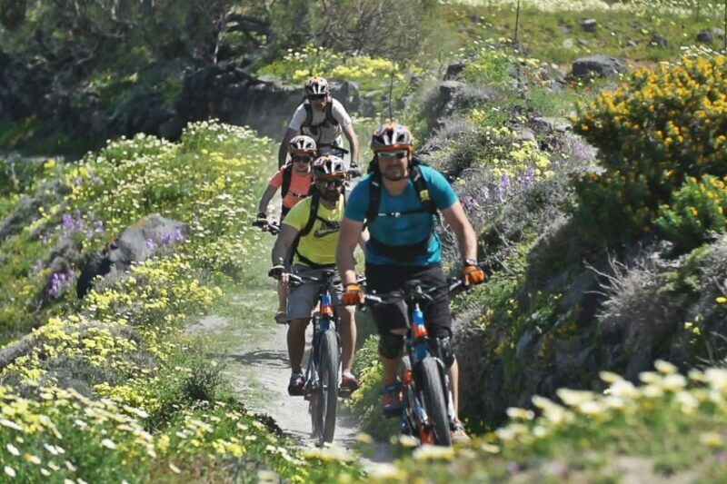 Santorini: Electric Mountain Bike Adventure - Guided Tours: Knowledge and Local Flavor