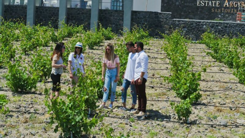 Santorini: Explore Southern Part with Wine Tasting - Transportation and Group Experience