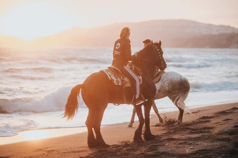 Santorini: Extreme Horse Safari - In-Depth Review of the Santorini Extreme Horse Safari