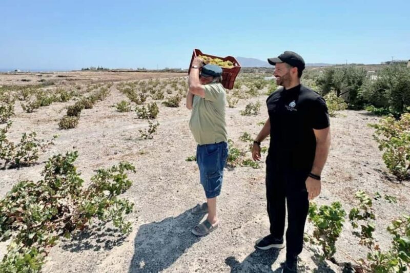 Santorini: Farm to Table Food Tour Experience - In-Depth Look at the Santorini Farm-to-Table Experience