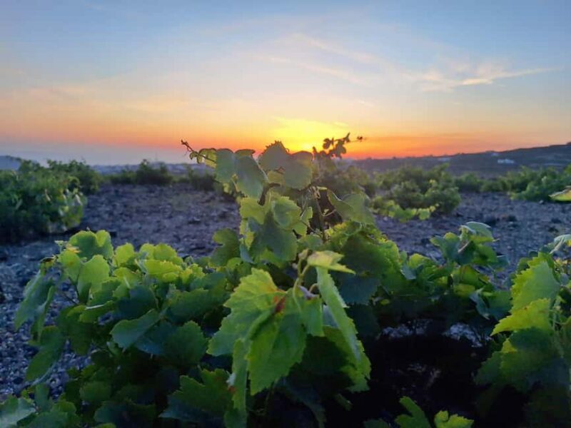 Santorini: From Reel to Real  Private Tour of Hidden Gems - Key Points