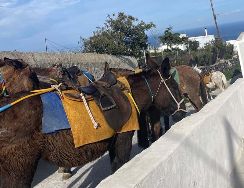 Santorini: Half-Day Island Tour with Snacks and Drinks - FAQs