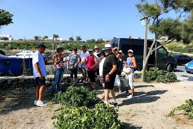Santorini Half Day Wine Tasting & Winery Tour with Pickup - Who is This Tour Best For?