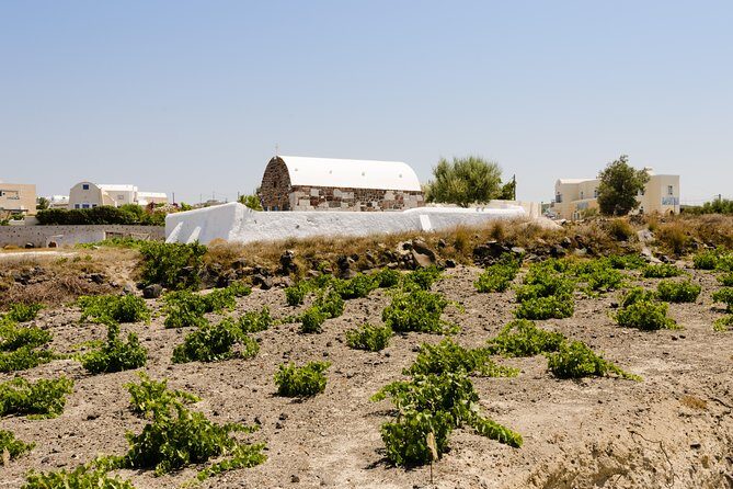 Santorini Highlights and Venetian Castles Small-Group Day Tour - Visiting Megalochori and the Symposion