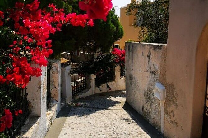 Santorini Highlights Tour 5 Hour - Who Should Consider This Tour?