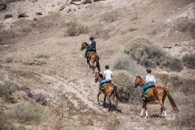 Santorini: Horse Riding Trip to Black Sandy Beach - Why This Tour Is Worth Considering