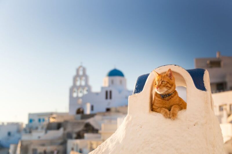 Santorini: Instagram Highlights Tour - Key Points