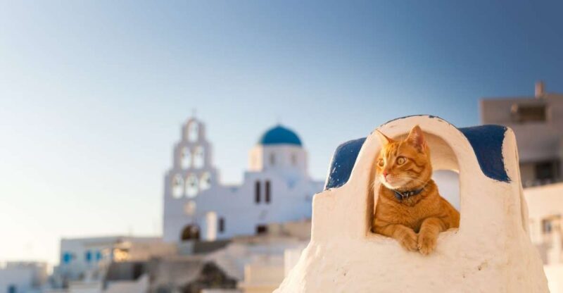 Santorini: Instagram Highlights Tour - Practical Tips for Participants