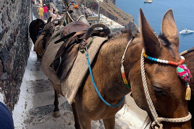 Santorini: Local Life Full Day Tour - FAQs