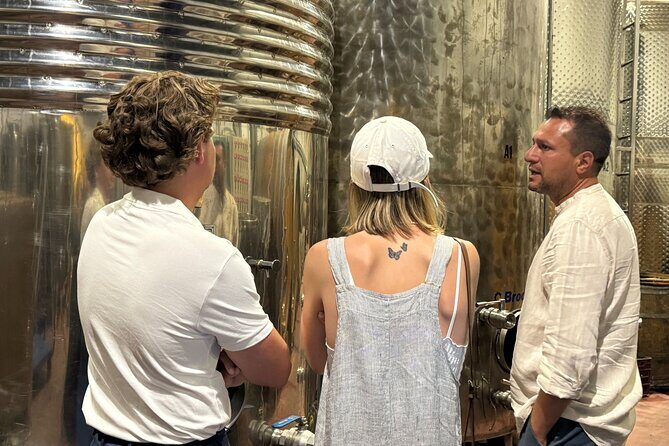Santorini Mini Wine Tasting Tour at 2 Wineries - The Itinerary: What to Expect During Your 3 Hours