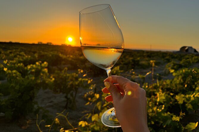 Santorini Mini Wine Tasting Tour at 2 Wineries - The Sum Up: Who Is This Tour Best For?