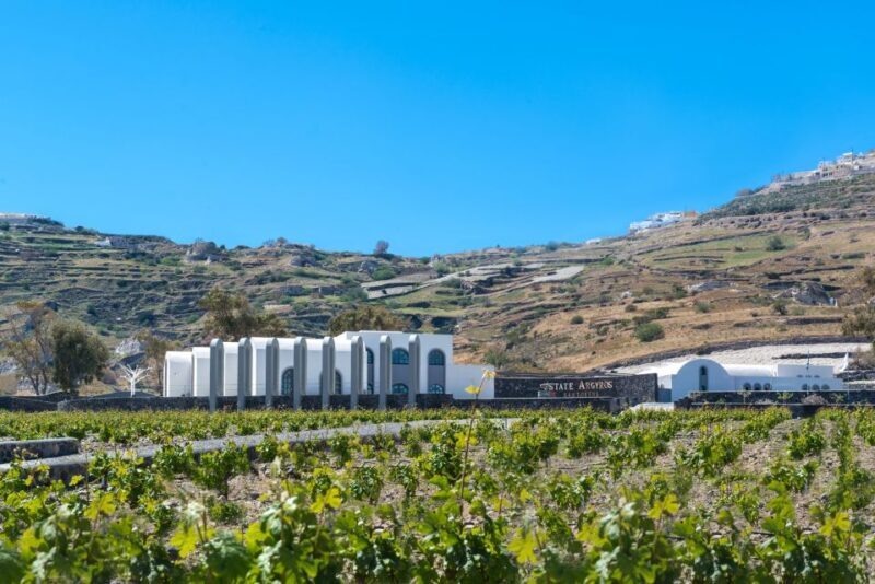 Santorini: Private 5-Hour Hidden Gems Experience - The Sum Up