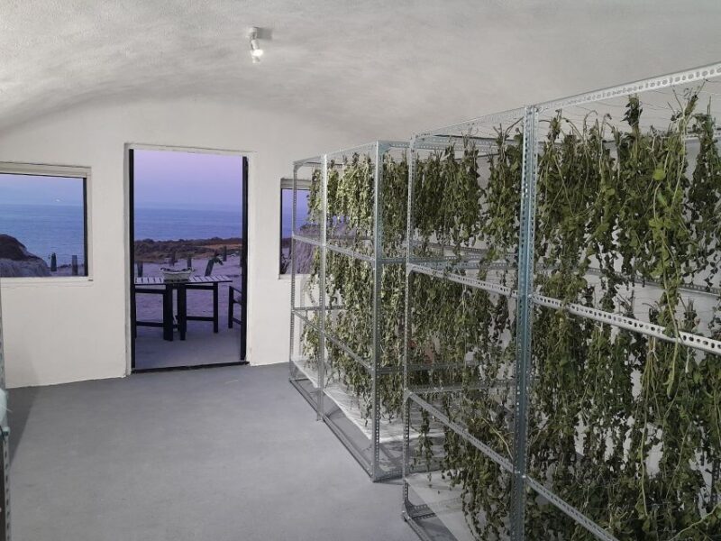 Santorini: Private Agri-Educational Visit to an Organic Farm - A Deep Dive into the Santorini Organic Farm Tour