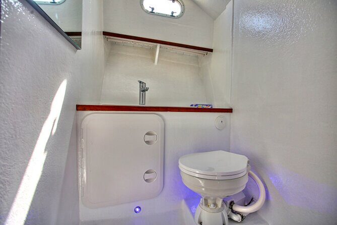 Santorini Private Cruise Sightseeing Tour with BBQ and Drinks - Final Thoughts: Who Will Love This Experience?