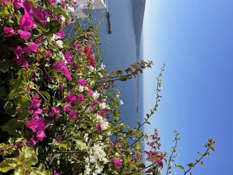 Santorini: Private Tour of the Famous Blue Domes and Caldera - Practical Tips for Making the Most of Your Tour