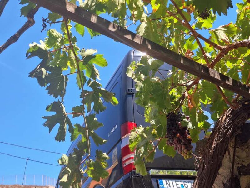 Santorini Private Wine Tour with Local Expert & Sunset - Key Points