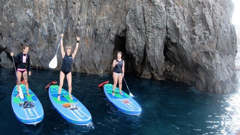 Santorini: Stand-Up Paddle and Snorkel Adventure - The Value of This Experience