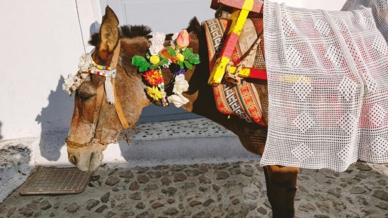 Santorini Tour : Oia, Black Beach, and Pyrgos Half-Day Tour - Final Thoughts