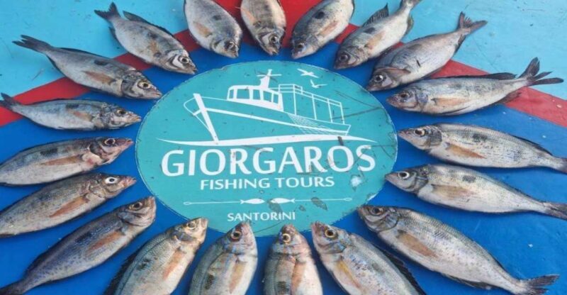 Santorini: Traditional Fishing Trip and Fresh Fish Lunch - A Deep Dive into This Santorini Fishing Adventure
