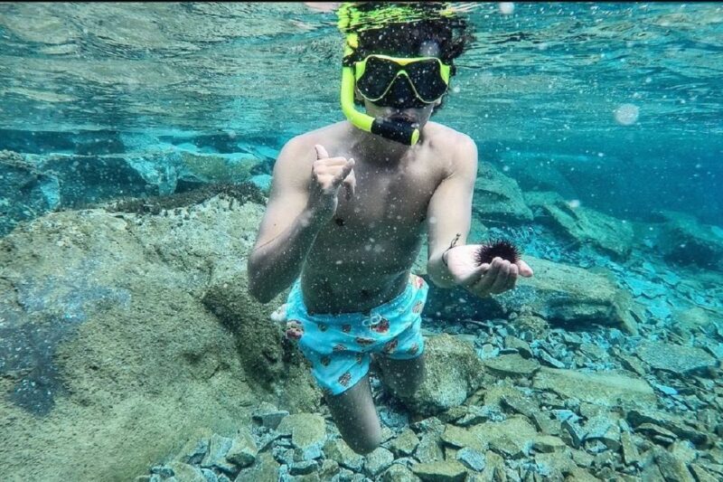 Santorini: Traditional Wooden Boat Tour with Meal and Wine - An In-Depth Look at the Santorini Wooden Boat Tour