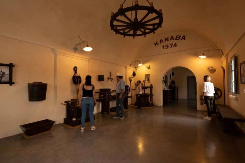 Santorini: Unexplored Culture Day Trip with Farm Visit - Practical Tips