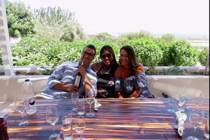 Santorini Wine Adventure with 12 Wine Tastings, Tapas and Sunset - Who Will Love This Tour?