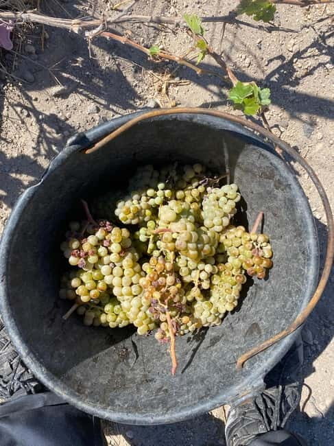 Santorini Wine & History Tour with 3 Expert Sommeliers - Detailed Breakdown of the Itinerary