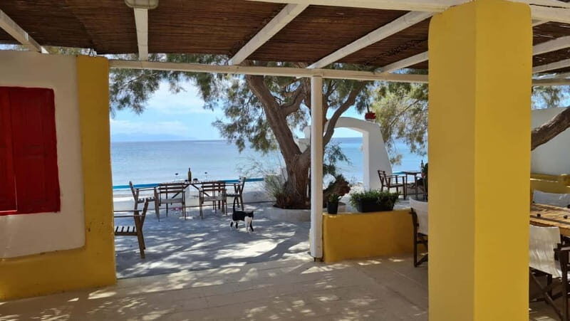 Santorini Wine & History Tour with 3 Expert Sommeliers - Final Thoughts