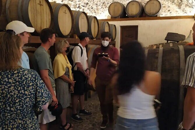 Santorini Wine Tasting: Private Tour with a Certified Wine Guide - A Closer Look at the Santorini Wine Tour Experience