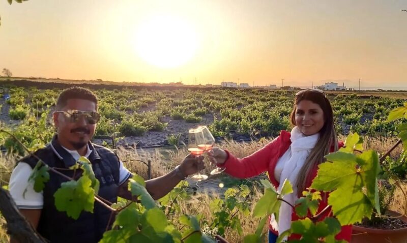 Santorini: Wine Tasting Tour - Key Points