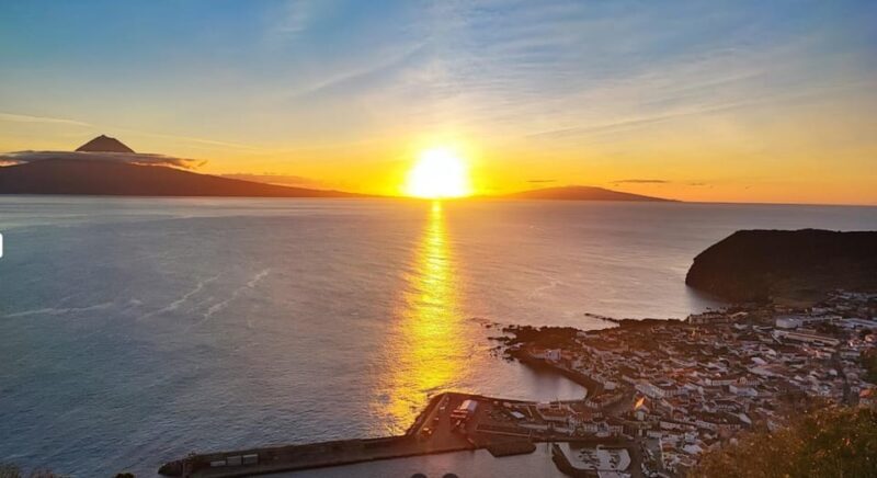 São Jorge: Island, Forest Reserve & Fajãs Guided Tour - Final Thoughts