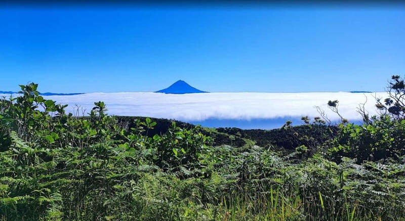 São Jorge Island Panoramic Adventure  4 Hour Tour - Key Points