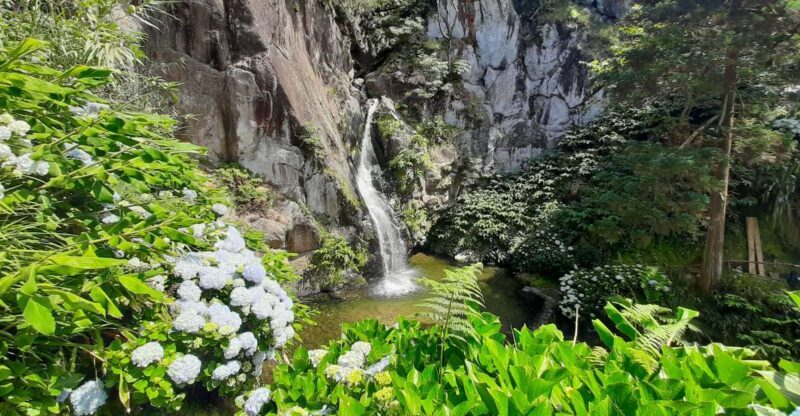 São Miguel Azores: Hike and Snorkeling with a local - Why Travelers Love This Tour