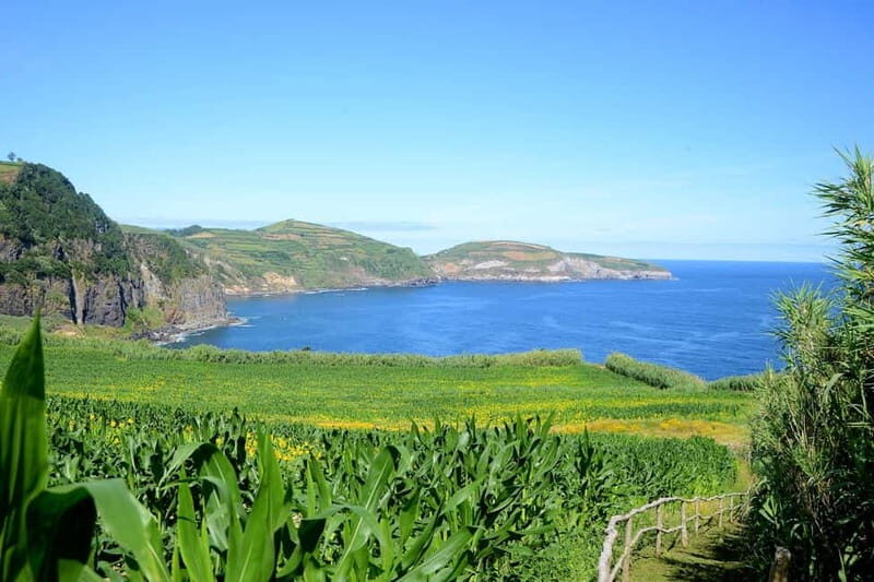 São Miguel Azores: Hike and Snorkeling with a local - Who Is This Tour Best For?