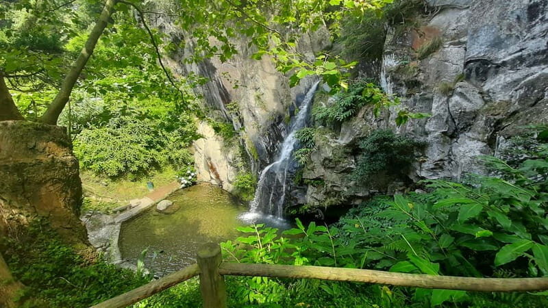 São Miguel Azores: Hike and Snorkeling with a local - Frequently Asked Questions