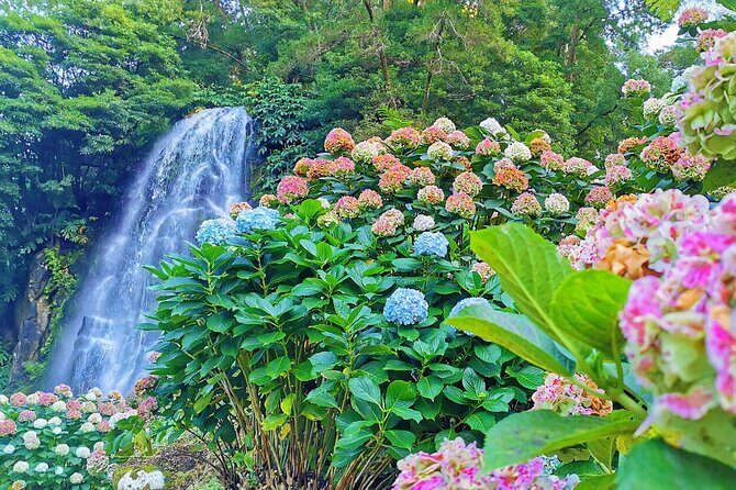 São Miguel, Azores - Private Tour 9 hours in 4 seats car "Exclusively for You" - FAQ