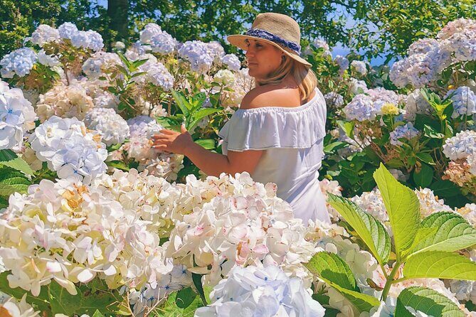 São Miguel, Azores - Private Tour in 8 seats van "Exclusively for You" - An Honest Look at the Private Tour Experience in São Miguel