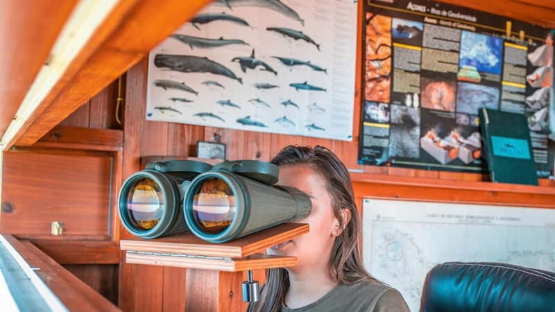 São Miguel: Azores Whaling Heritage Tour - An In-Depth Look at the Azores Whaling Heritage Tour