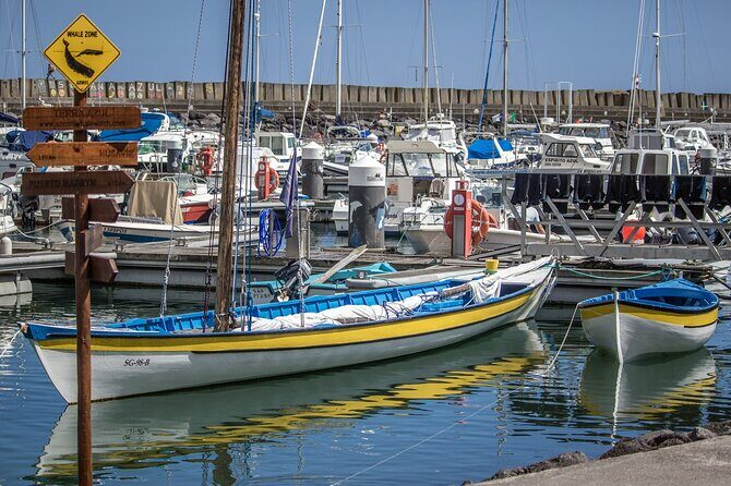 São Miguel: Azores Whaling Heritage Tour - Analyzing the Value and Practical Aspects
