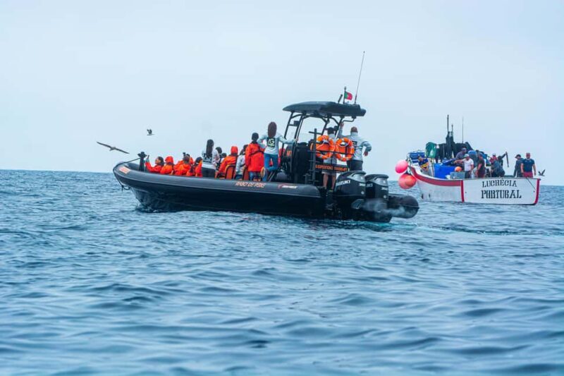 Sao Miguel: Boat Tour of the Wild & Hidden North Coast - Final Thoughts