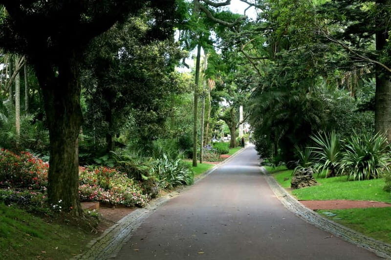São Miguel: Botanical Gardens and Cave Tour - Key Points