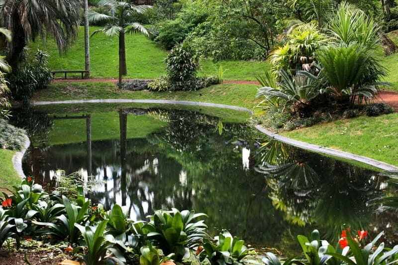 São Miguel: Botanical Gardens and Cave Tour - Who Will Love This Tour?