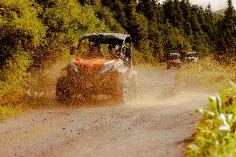 Sao Miguel: Buggy Tour Around Sete Cidades Volcano - FAQ