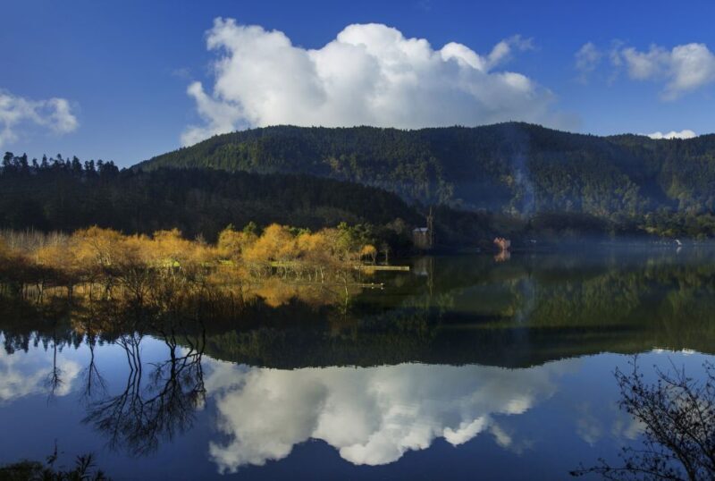 São Miguel East: Full-Day Van Tour with Lunch - Who Would Enjoy This Tour?