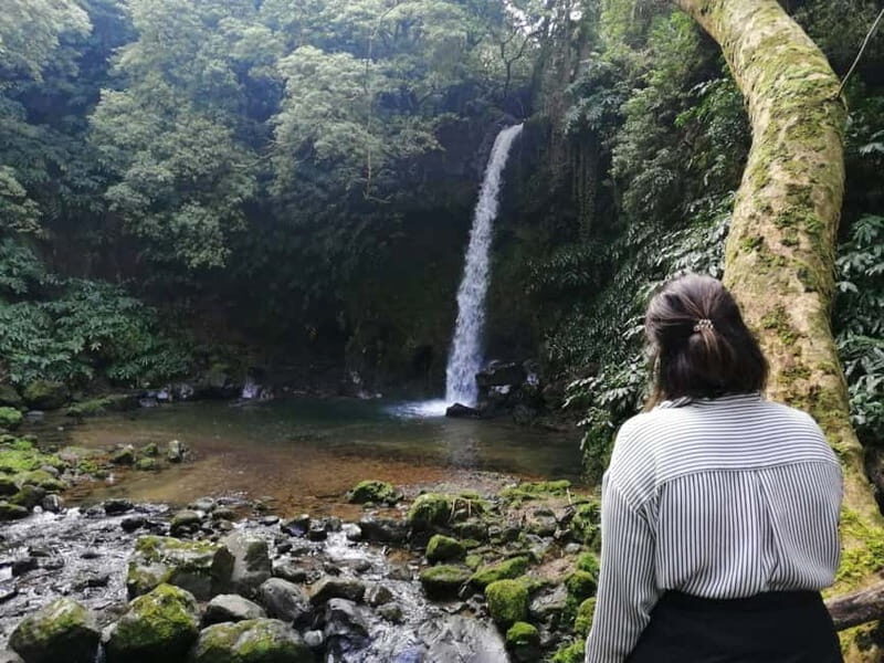 São Miguel: Enchanted Secret Waterfalls Hike, Dive, and Dine - Who Should Consider This Tour?