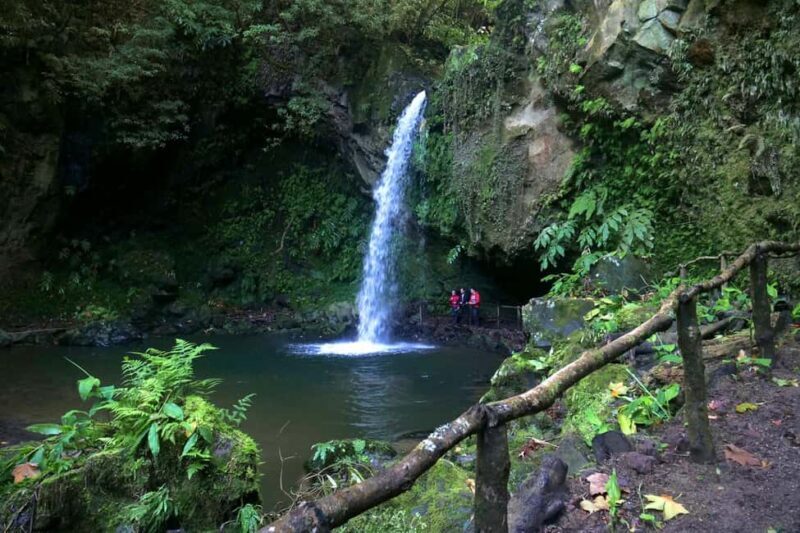 São Miguel: Félix Waterfalls Hike & North Coast Private Tour - Key Points