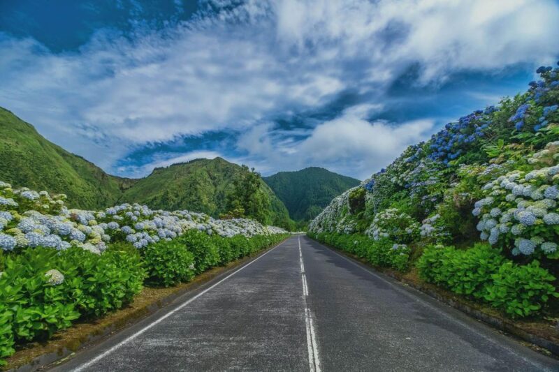 São Miguel: Fogo Lake Hike with Caldeira Velha Hot Springs - Insights from Real Travelers