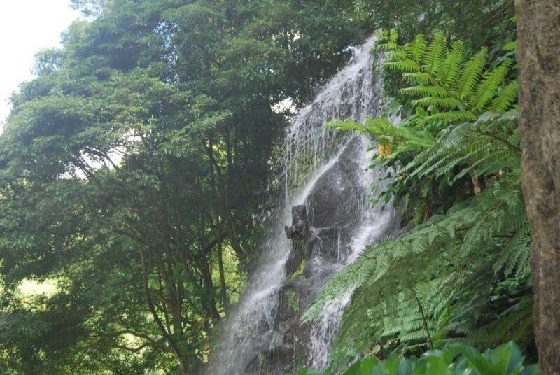 São Miguel: Full-Day Nordeste & Waterfall Tour with Lunch - In-Depth Review of the Nordeste & Waterfalls Tour