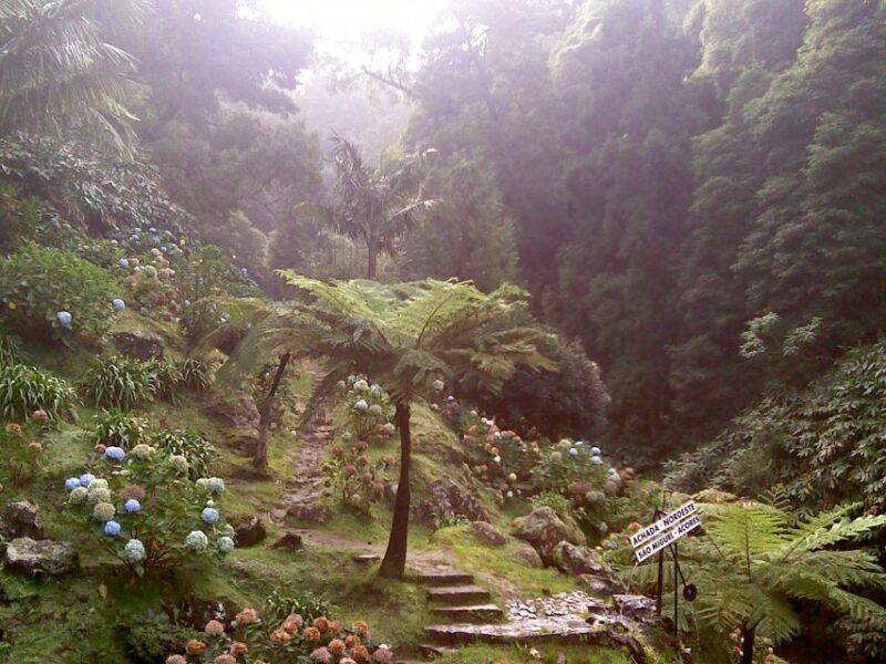 São Miguel: Full-Day Nordeste & Waterfall Tour with Lunch - FAQs