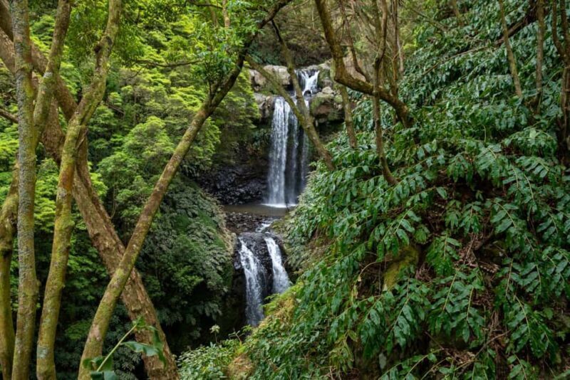 São Miguel Island: Chasing Waterfalls in the Azores Tour - Key Points